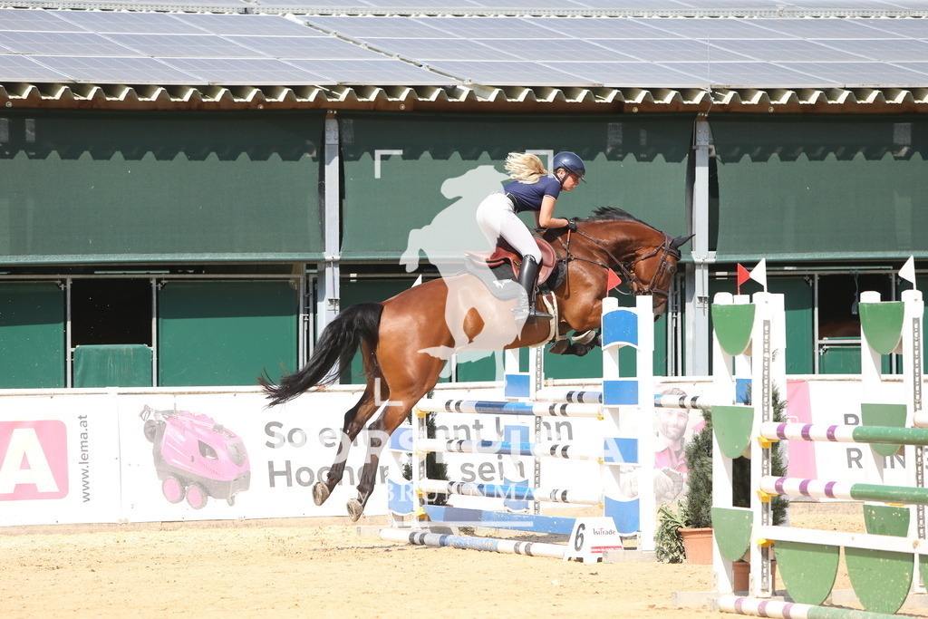 DL2Q1683 | Willkommen bei Brunnmayr - Design & Fotografie – Ihrem Spezialisten für Reitturniere und Pferdeveranstaltungen in Oberösterreich, Salzburg und Bayern! Seit über 17 Jahren sind wir leidenschaftlich dabei.