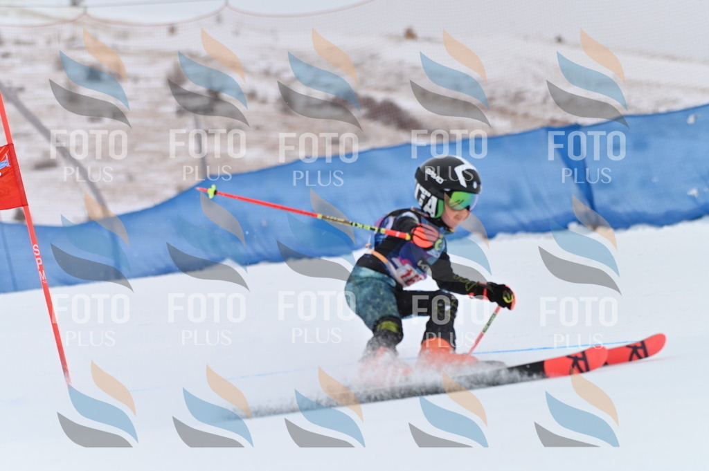 BGV_0225 | holidayphoto