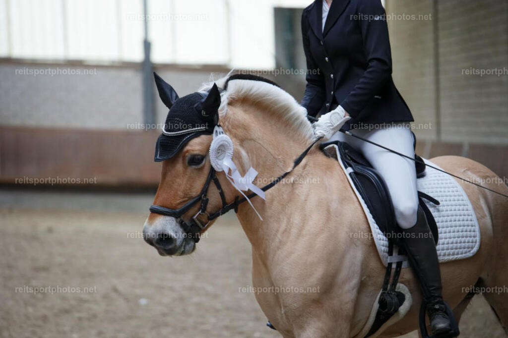 JHE_6874 | JoYa Fotografie - Realisiert mit Pictrs.com