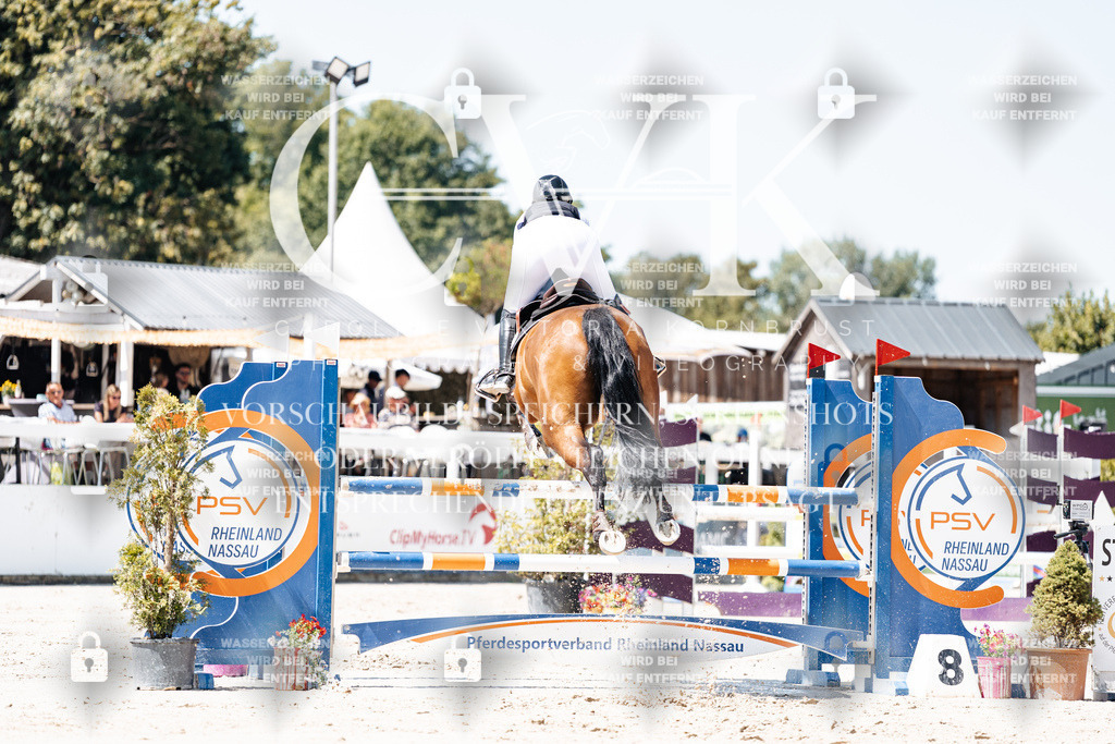 CK909629 | Turnierfotografie Pferdefotografie Trier Rheinland-Pfalz Pferdesport Reitsport Tierfotografie Sportfotografie Pferdevideo Pferdevideografie Equestrianvideography equestrianphotography  - Realisiert mit Pictrs.com