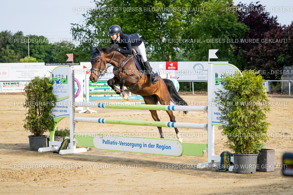 DSC02609 | Pferdegrafie