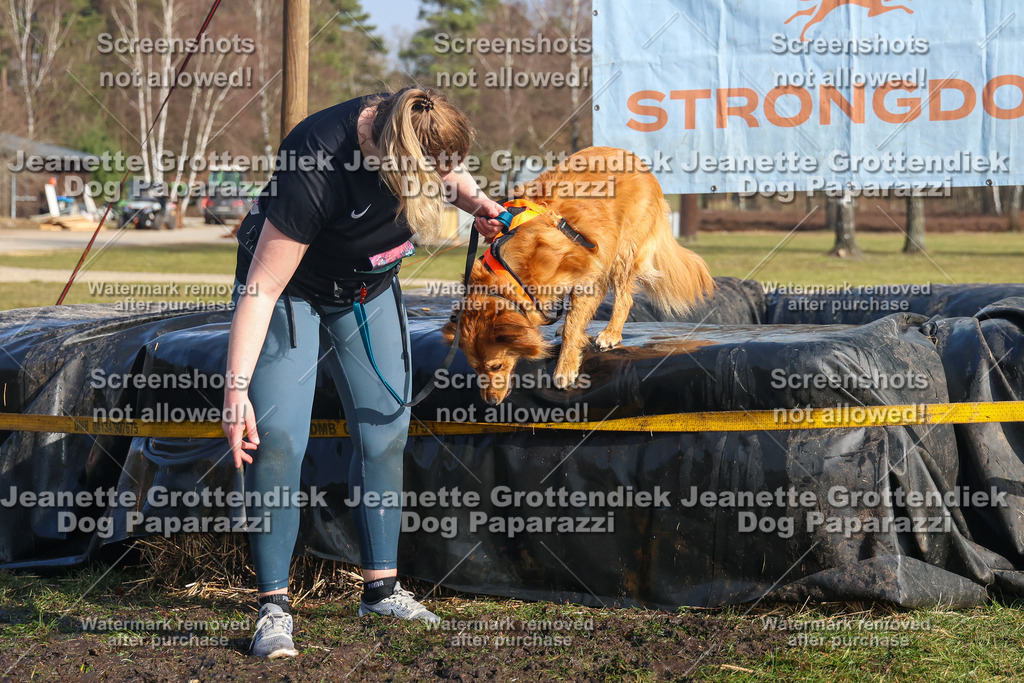 Dog Paparazzi - Strongdog North Mrz26-2736 | Dog Paparazzi Jeanette Grottendiek Fotografie & Videografie - Realisiert mit Pictrs.com
