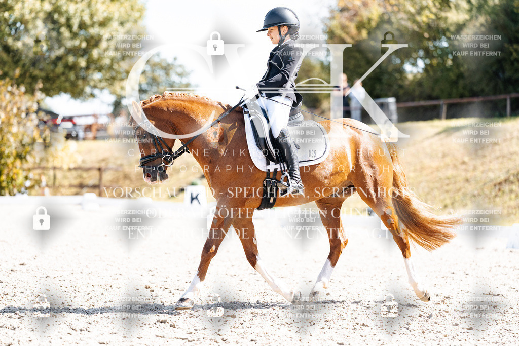 CK903112 | Turnierfotografie Pferdefotografie Trier Rheinland-Pfalz Pferdesport Reitsport Tierfotografie Sportfotografie Pferdevideo Pferdevideografie Equestrianvideography equestrianphotography  - Realisiert mit Pictrs.com
