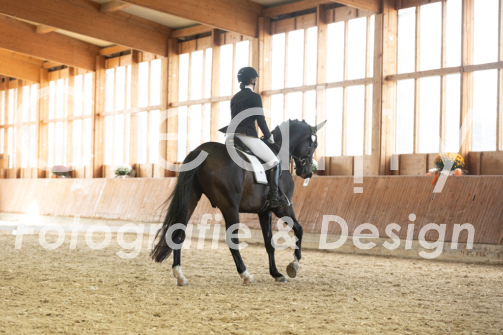 IMG_3281 | Creatify Fotografie