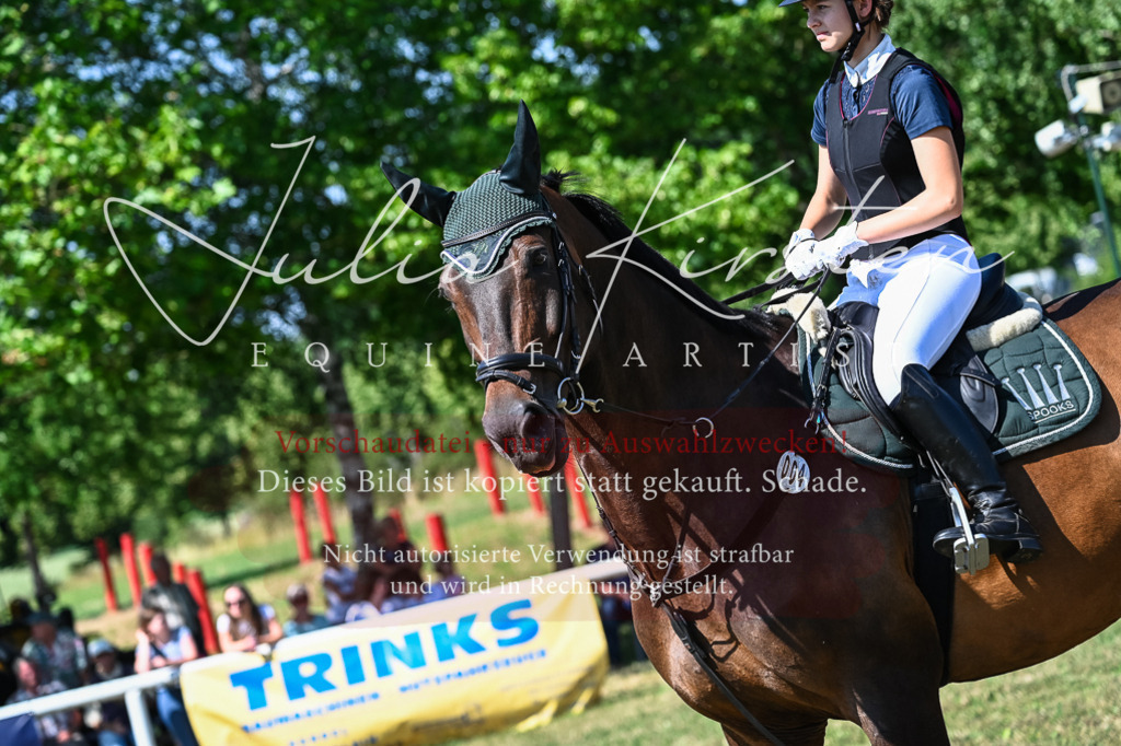 DSC_1579 | Pferde- und Turnierfotografie in Westsachsen. Pferdeportraits, Auftragszeichnungen und intuitive Kunst.