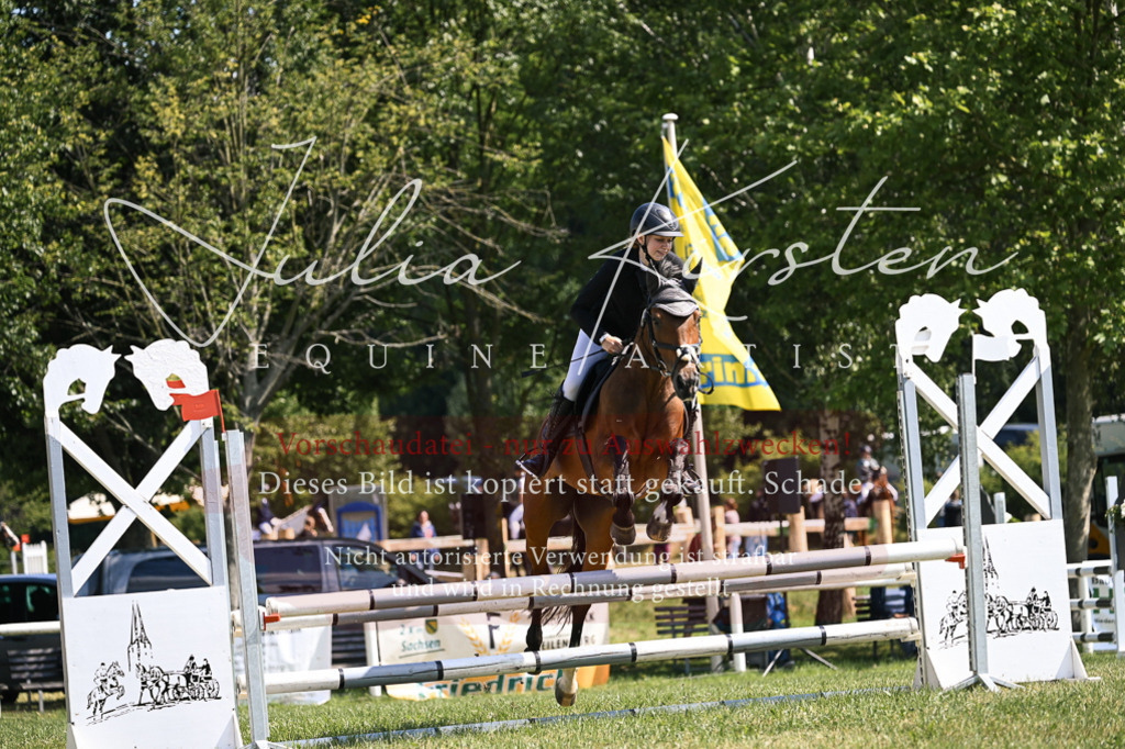 DSC_8909 | Pferde- und Turnierfotografie in Westsachsen. Pferdeportraits, Auftragszeichnungen und intuitive Kunst.