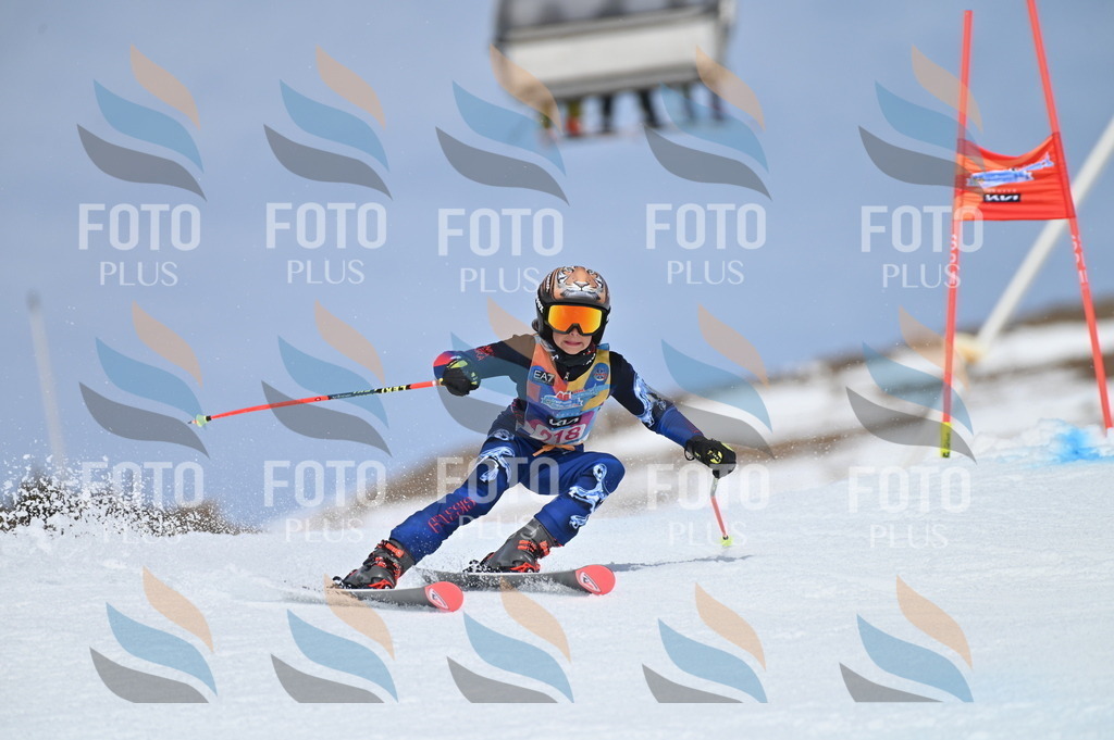 BGV_1270 | holidayphoto