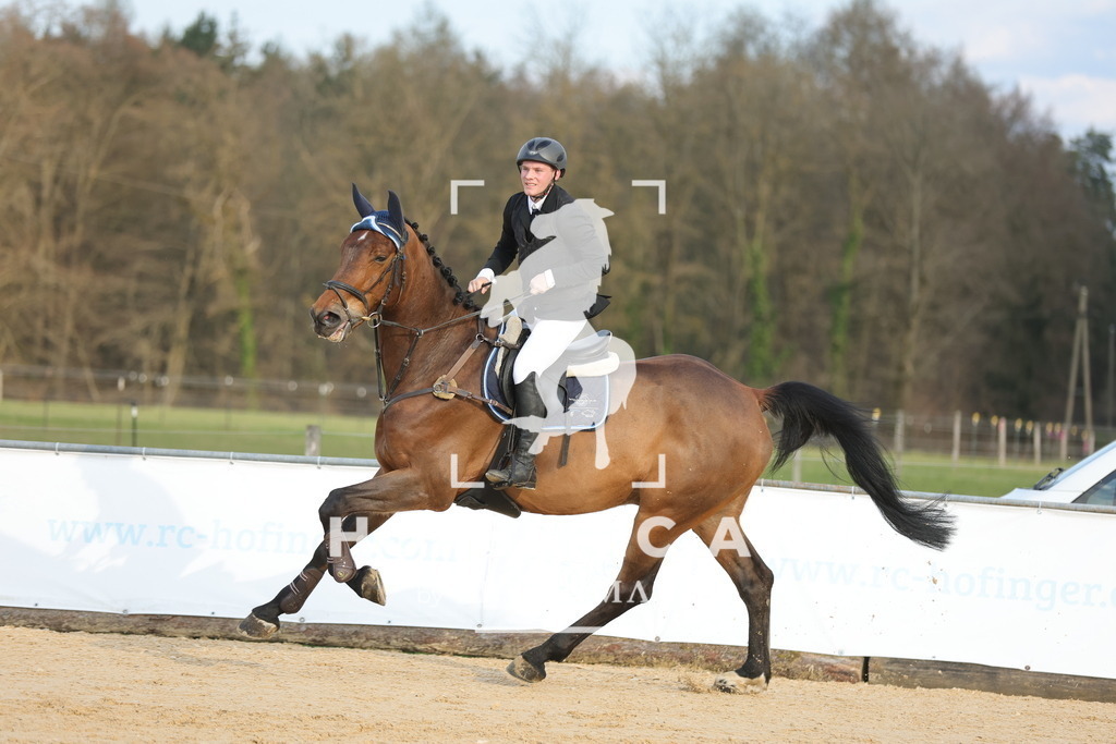 0P6A8835 | Willkommen bei Brunnmayr - Design & Fotografie – Ihrem Spezialisten für Reitturniere und Pferdeveranstaltungen in Oberösterreich, Salzburg und Bayern! Seit über 17 Jahren sind wir leidenschaftlich dabei.