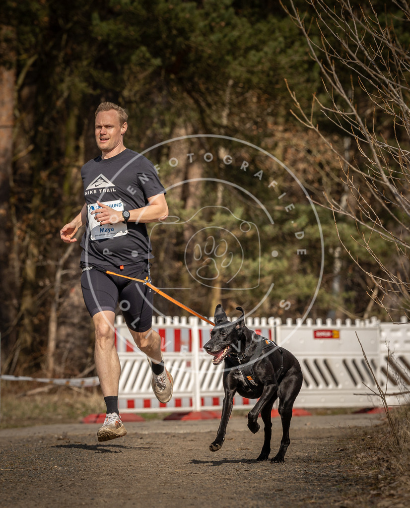 DV3A5655 | Hundefotografie, Tierfotograf, Pfotenfotografie, Fotoshooting Hund, Hunde Portrait, Hundesport, Hundeportraits, Heideshooting, Hunde, Sportfotograf, Hundefotograf, Turnierhundsport, THS,  - Realisiert mit Pictrs.com