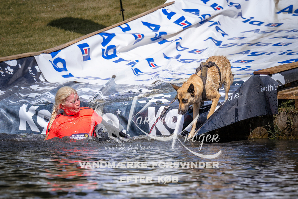 _ZZ936310940 | kk-dogfotos