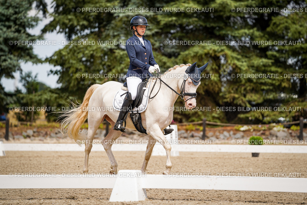 DSC04393 | Pferdegrafie