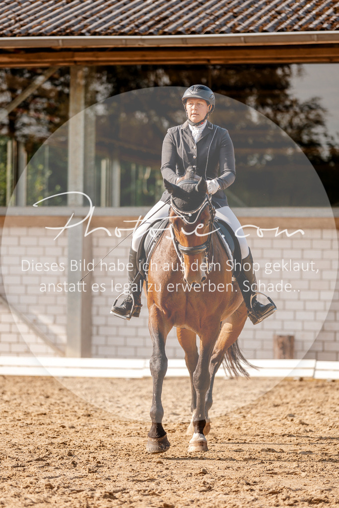 3I6A3141 | Stimmungsvolle Portraits und Reitsportfotografie im Ruhrgebiet und im Münsterland.

Pferdefotografie, Hundefotografie, Tierfotografie, Reportagen, Portraits von Tier und Mensch, Turnierfotografie in Bochum, Recklinghausen, Marl, Haltern am See, Dülmen.. - Realisiert mit Pictrs.com