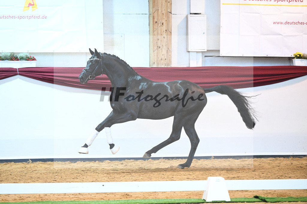 Kat-Nr. 8 v. Bon Courage_Maier_66220161 | hf-fotografie - Realisiert mit Pictrs.com
