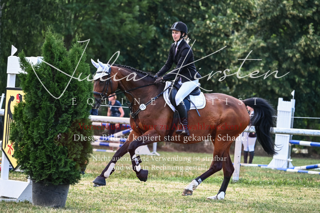 DSC_8057 | Pferde- und Turnierfotografie in Westsachsen. Pferdeportraits, Auftragszeichnungen und intuitive Kunst.
