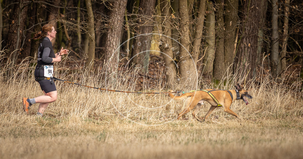DV3A4053 | Hundefotografie, Tierfotograf, Pfotenfotografie, Fotoshooting Hund, Hunde Portrait, Hundesport, Hundeportraits, Heideshooting, Hunde, Sportfotograf, Hundefotograf, Turnierhundsport, THS,  - Realisiert mit Pictrs.com