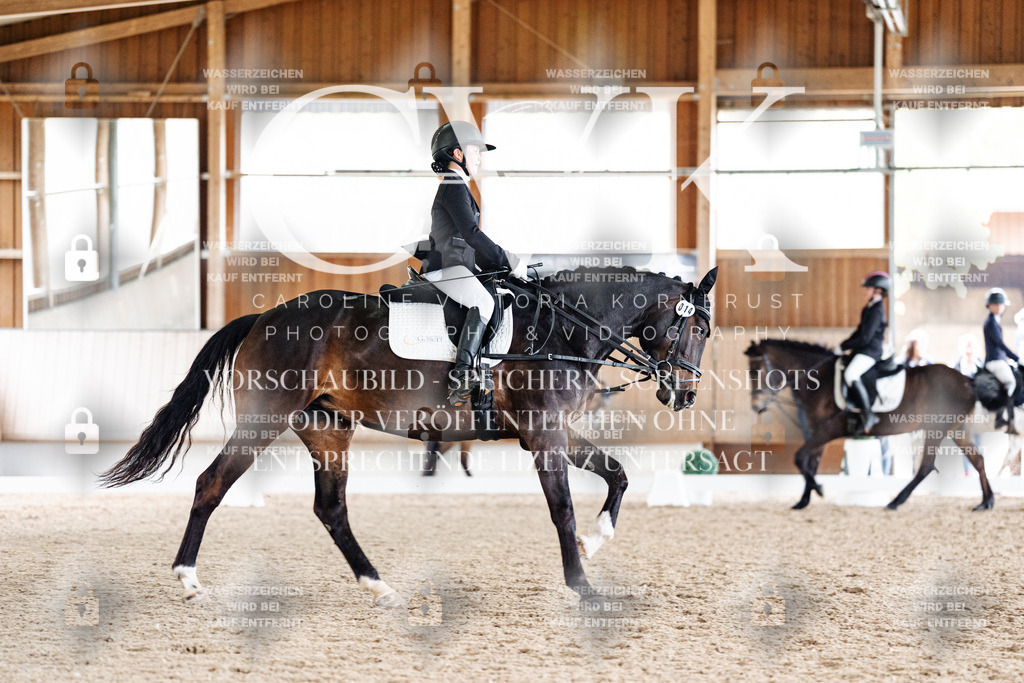 CK901347 | Turnierfotografie Pferdefotografie Trier Rheinland-Pfalz Pferdesport Reitsport Tierfotografie Sportfotografie Pferdevideo Pferdevideografie Equestrianvideography equestrianphotography  - Realisiert mit Pictrs.com