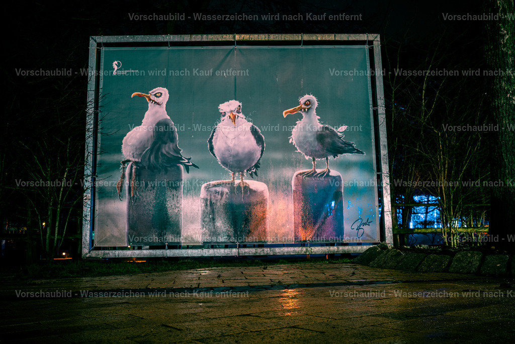 DSC09815 | marcuslinek