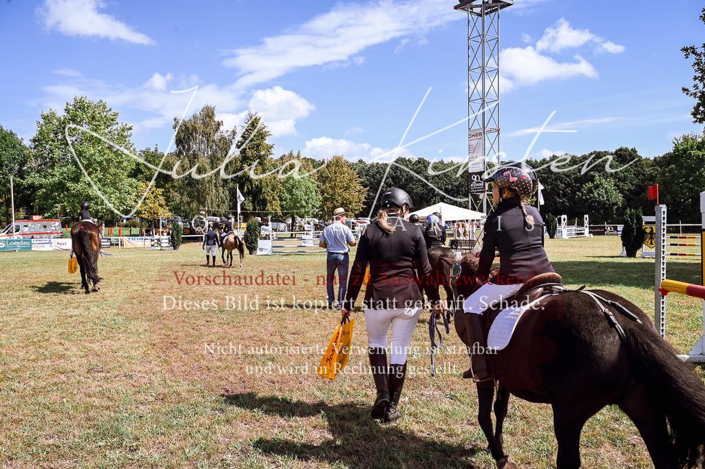 DSC_7044 | Pferde- und Turnierfotografie in Westsachsen. Pferdeportraits, Auftragszeichnungen und intuitive Kunst.