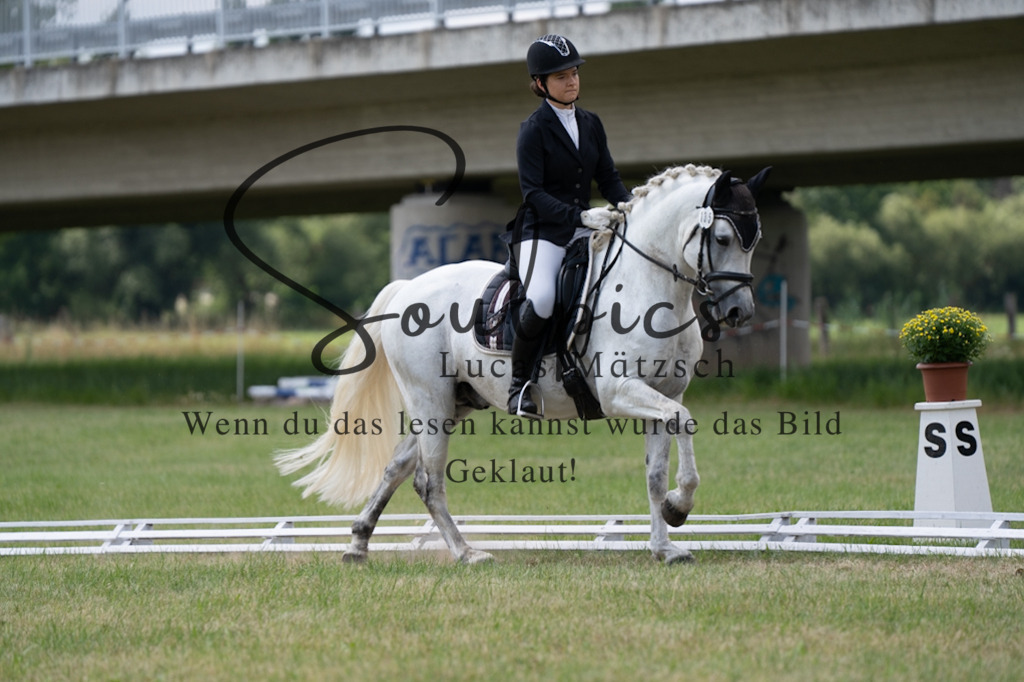 A7V00090 | Pferdefotograf