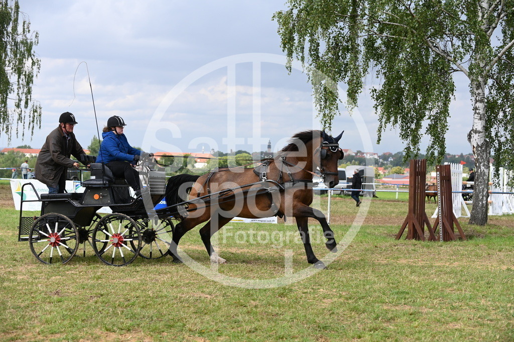 DSC_9007 | sattelsport - Realisiert mit Pictrs.com