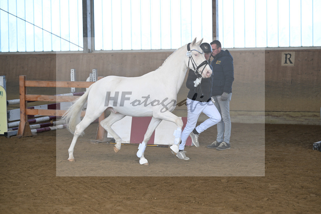 Kat-Nr. 5 EMR Gamarelli v. Giotto_Rupp_49250127 | hf-fotografie - Realisiert mit Pictrs.com