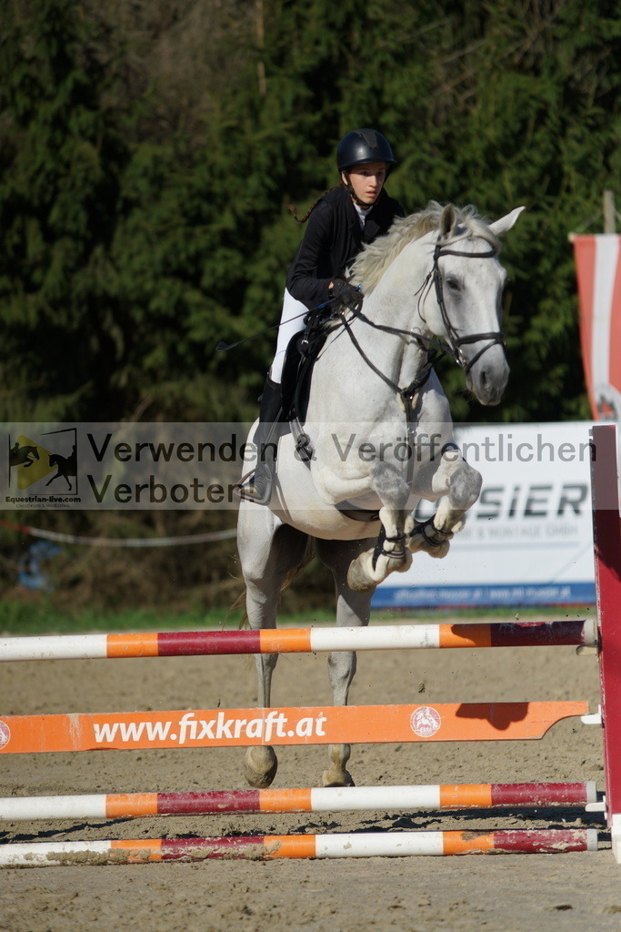 DSC09567 | equestrian-live-com