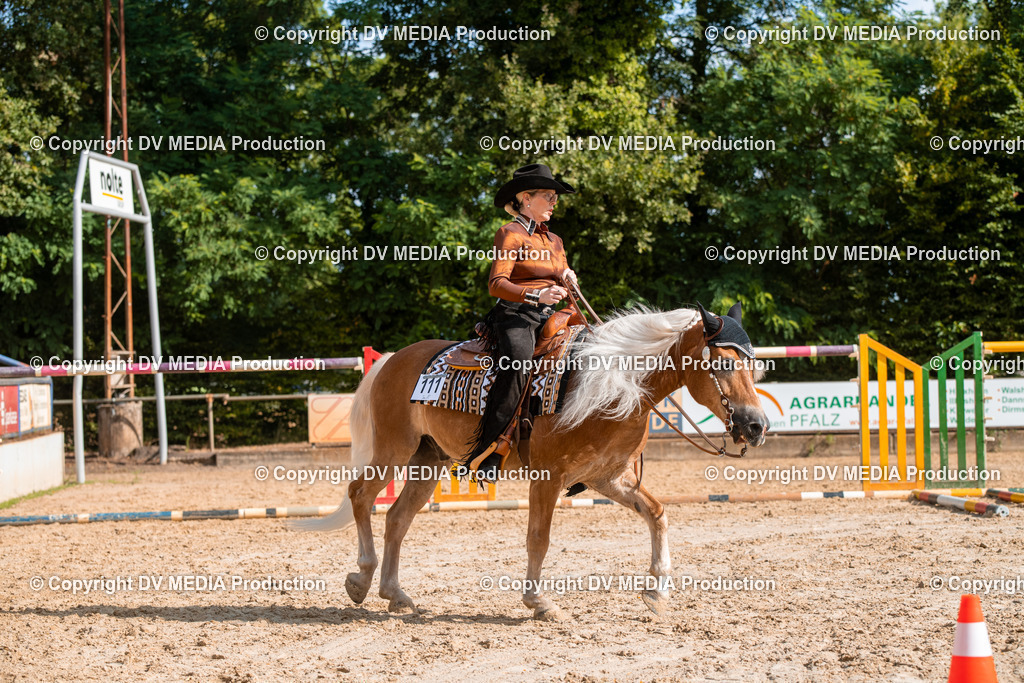 ZS3_9269 | dv-media-shop - Realisiert mit Pictrs.com