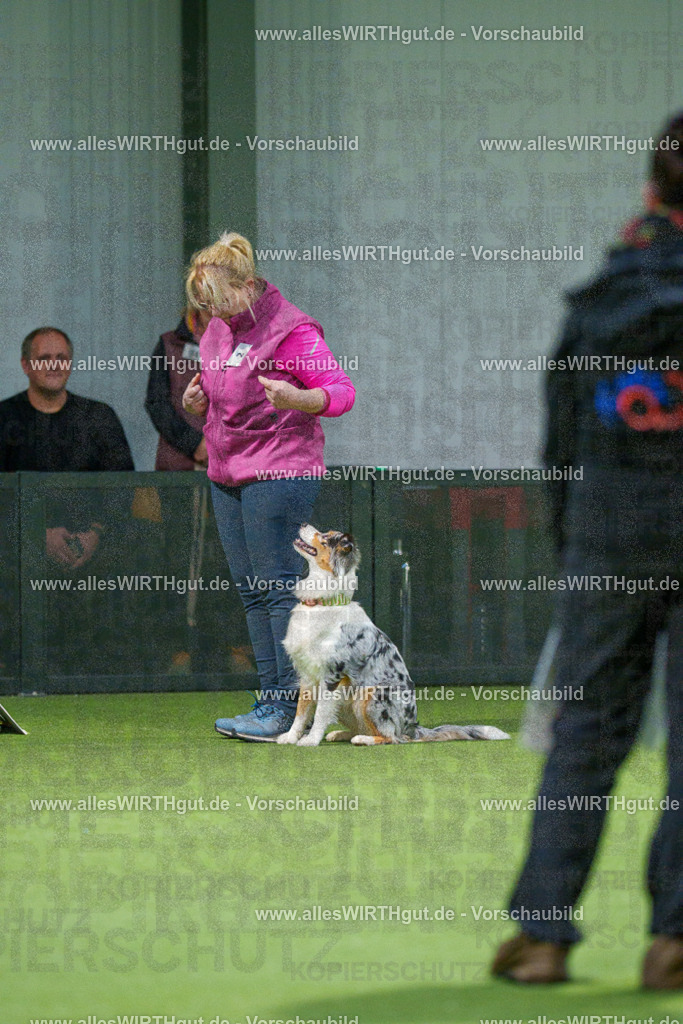 7R504093 | Professionelle Tierfotografie in Mönchengladbach von Daniel Wirth (allesWIRTHgut). Liebevolle & natürliche Bilder von Hunden & Katzen für unvergessliche Erinnerungen.