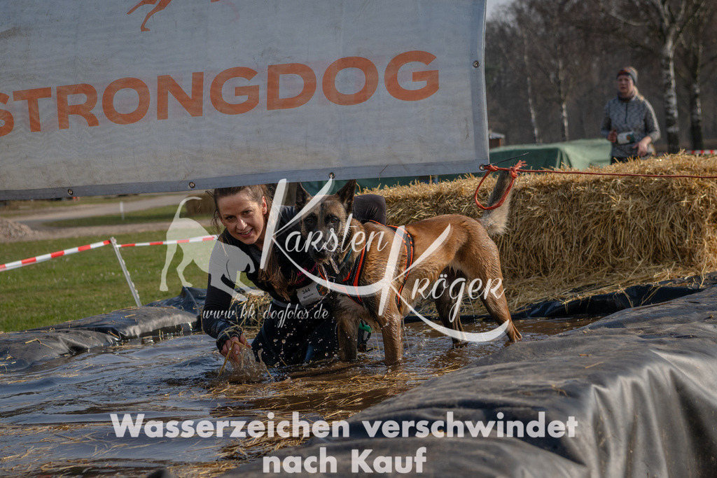 _ZZ94583 | kk-dogfotos