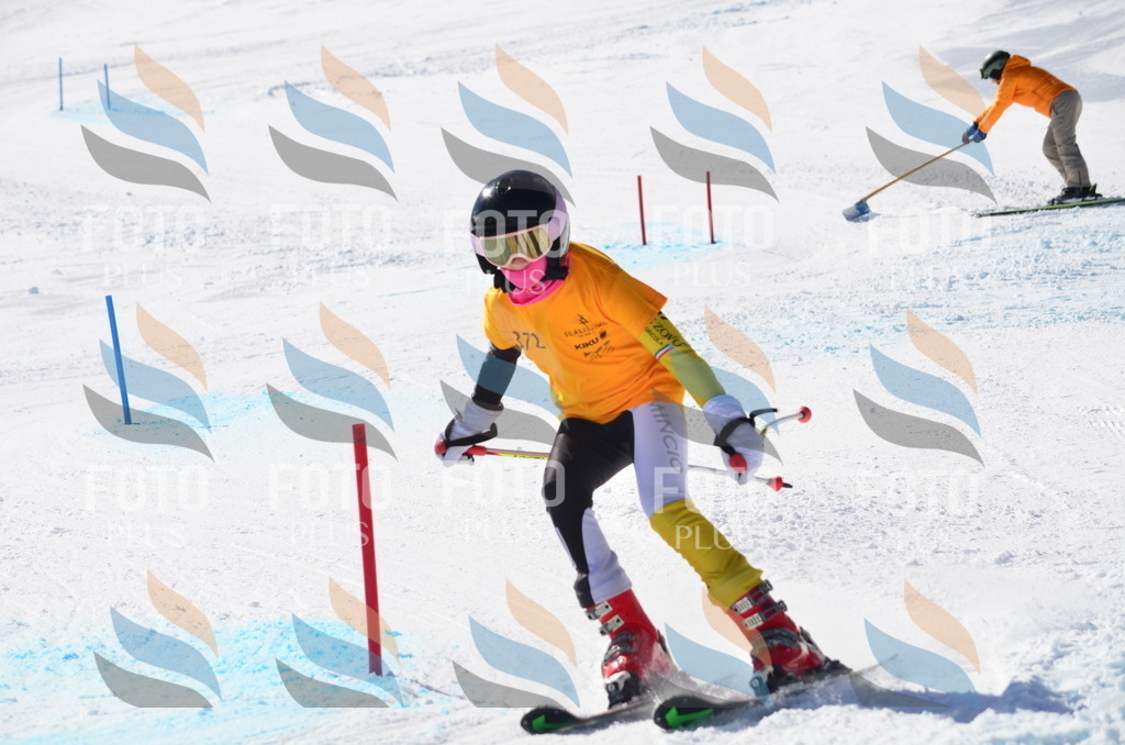 C8530 | holidayphoto