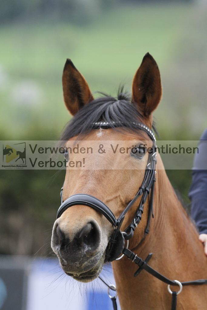 _MG_3123 | equestrian-live-com