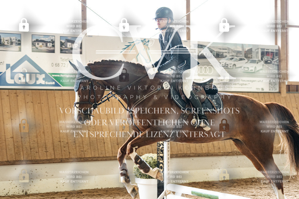 CK902598 | Turnierfotografie Pferdefotografie Trier Rheinland-Pfalz Pferdesport Reitsport Tierfotografie Sportfotografie Pferdevideo Pferdevideografie Equestrianvideography equestrianphotography  - Realisiert mit Pictrs.com
