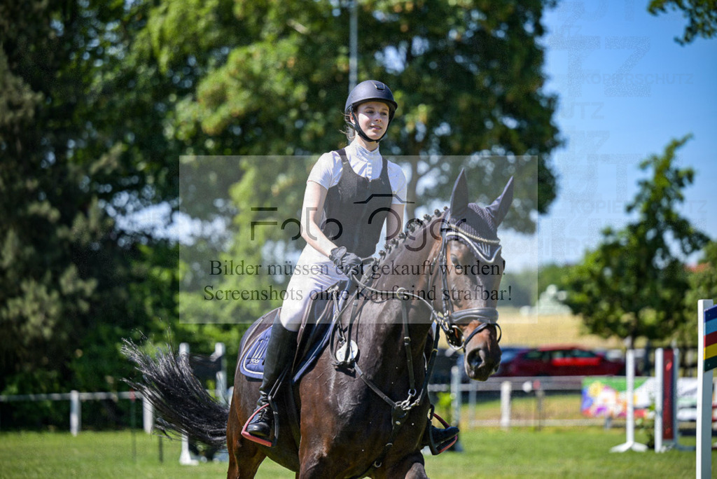 Reitturnier Voxtrup | Entdecke hochwertige Reitturnierfotos von Foto Oger. Professionell, emotional und authentisch – jetzt Lieblingsmomente im Shop bestellen.Deutschlandweite Turnierfotografie. - Realisiert mit Pictrs.com