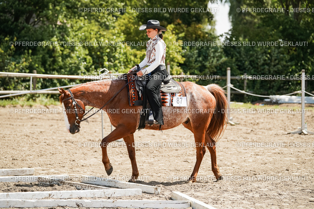 DSC07700 | Pferdegrafie