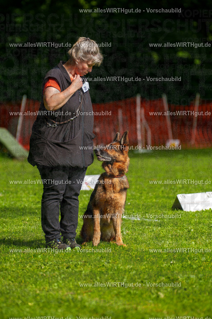 @allesWIRTHgut_Tierfotografie - www.allesWIRTHgut.de - 7R502452 | Professionelle Tierfotografie in Mönchengladbach von Daniel Wirth (allesWIRTHgut). Liebevolle & natürliche Bilder von Hunden & Katzen für unvergessliche Erinnerungen.