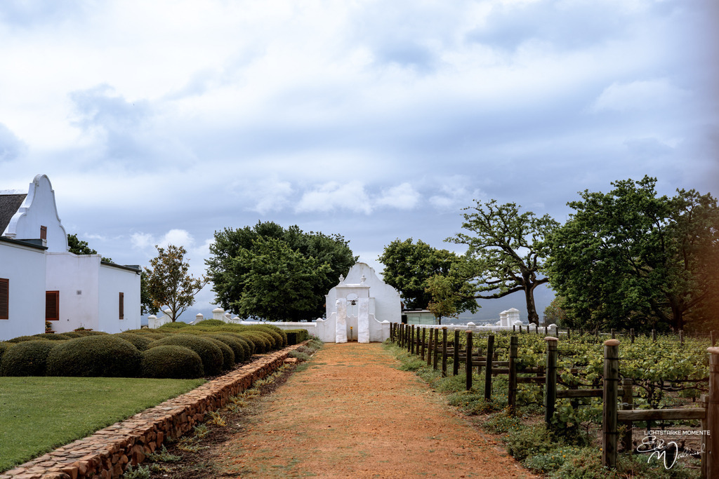 20230930-114742 SOUTHAFRIKA_-1 | Herzlich willkommen auf meiner Seite! Ich bin Elke Wallnisch, Deine Fotografin für lichtstarke Momente. Der Name steht für alles, was mich mit der Fotografie verbindet: Das Licht und seine machtvolle Wirkung auf eine Situation oder unsere Stimmung - Realisiert mit Pictrs.com