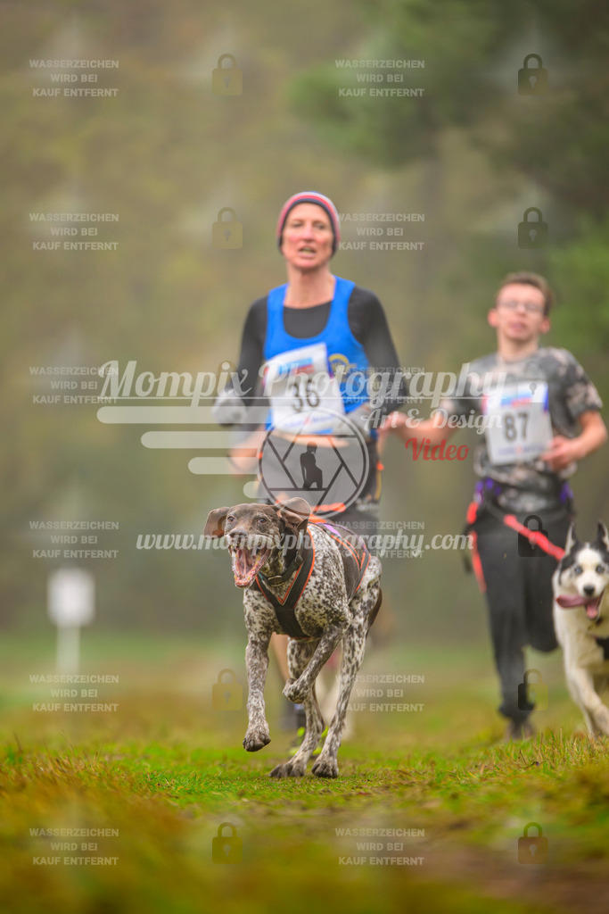 MompixPhotography_Bischwiller2025_Canicross-141 | mompixphotography