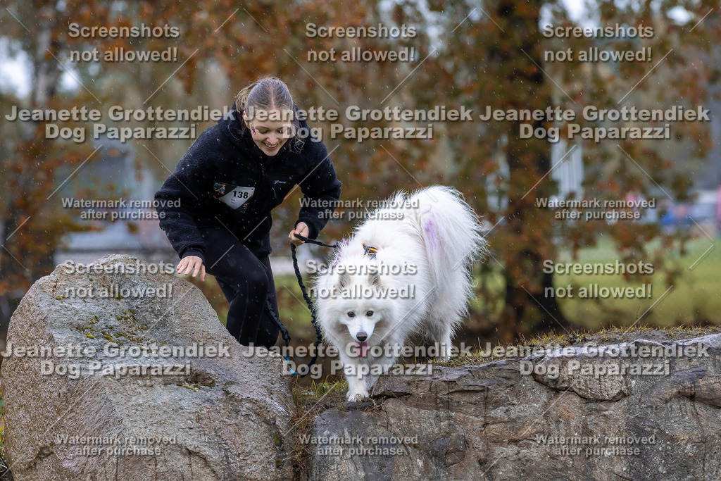 Dog Paparazzi - SD CaniX Championship 2025-758 | Dog Paparazzi Jeanette Grottendiek Fotografie & Videografie - Realisiert mit Pictrs.com