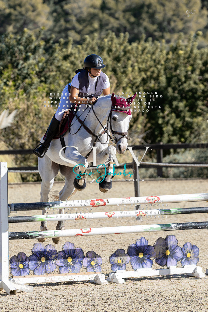 IMG_0799 | s-jay-photography - Realisiert mit Pictrs.com