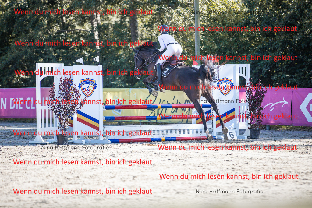 BK1A7373 | Turnierbilder Turnierfotos Nina Hüffmann Turnierfotografie Pferdefotografie Tierzeichnung Haustierzeichnung Pferdezeichnung Hundezeichnung Videograf  - Realisiert mit Pictrs.com