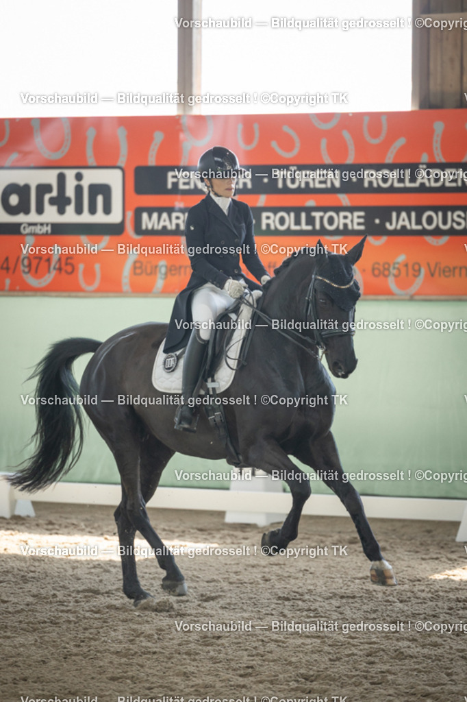 _D5A1693 | Emotionale Pferde- & People-Fotografie rund um Heidelberg, Leimen & Umgebung. Natürliche Fotos von Pferd, Mensch & Familie. Jetzt Termin sichern!