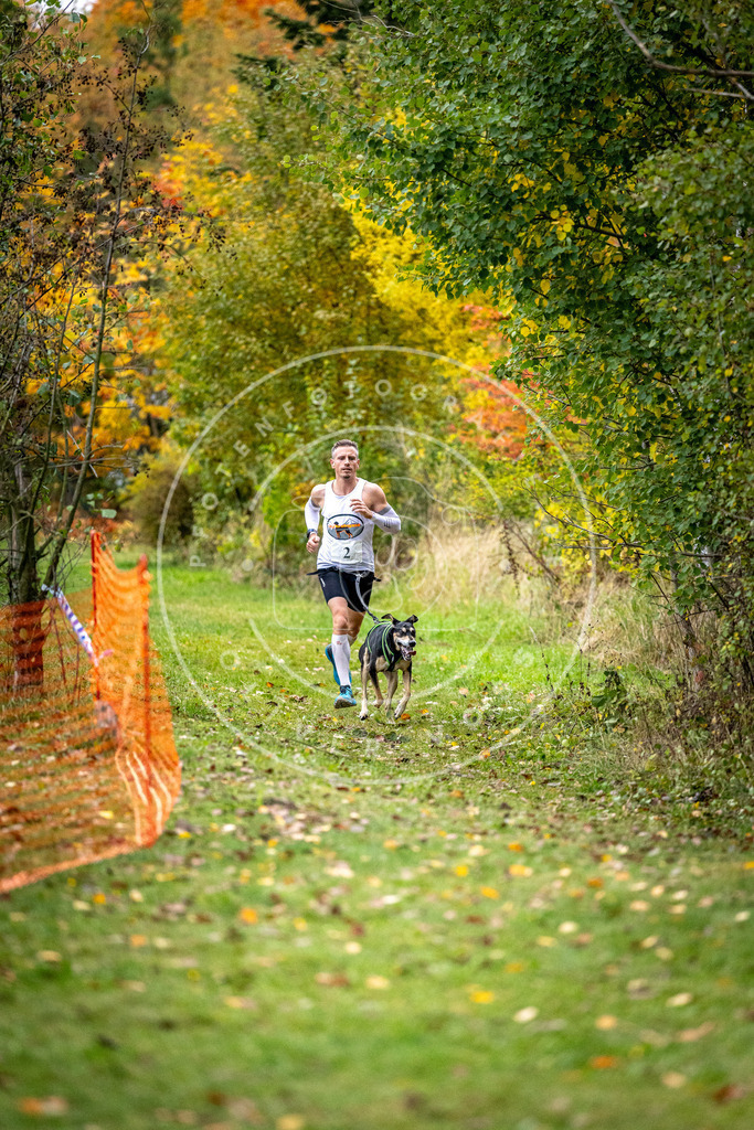 Pfotenfotografie_DV3A1587 | Hundefotografie, Tierfotograf, Pfotenfotografie, Fotoshooting Hund, Hunde Portrait, Hundesport, Hundeportraits, Heideshooting, Hunde, Sportfotograf, Hundefotograf, Turnierhundsport, THS,  - Realisiert mit Pictrs.com