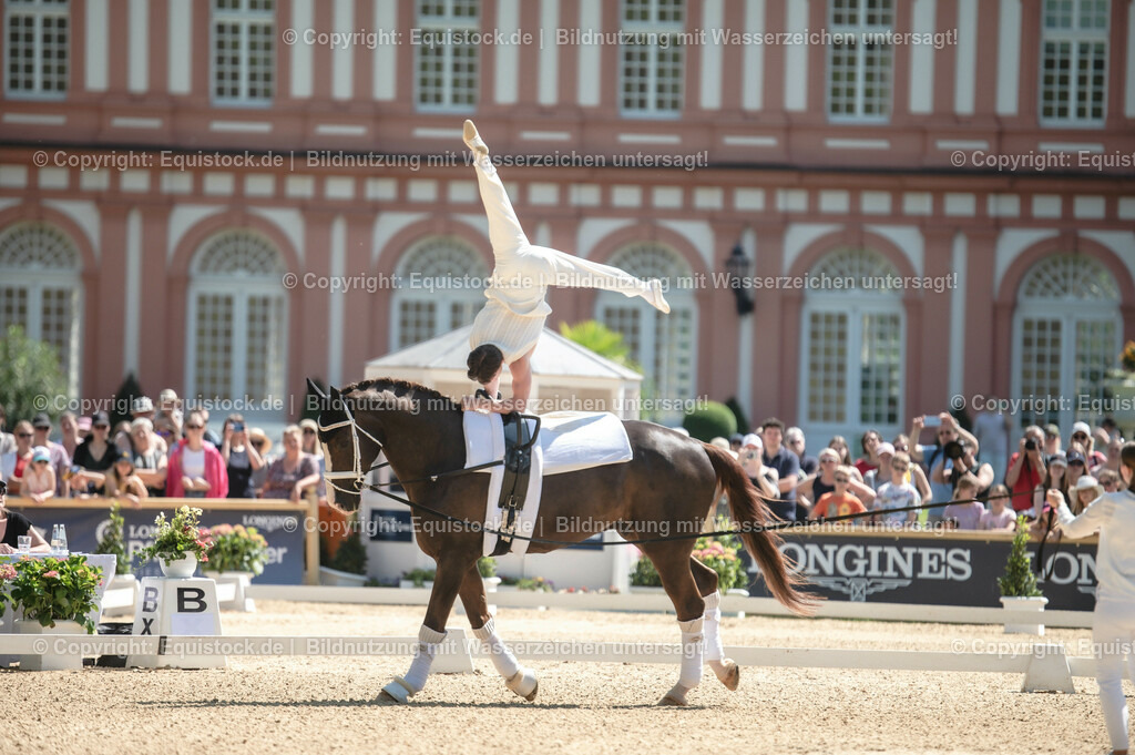 20230528_Voltigieren_NASPA_0072 | equistock