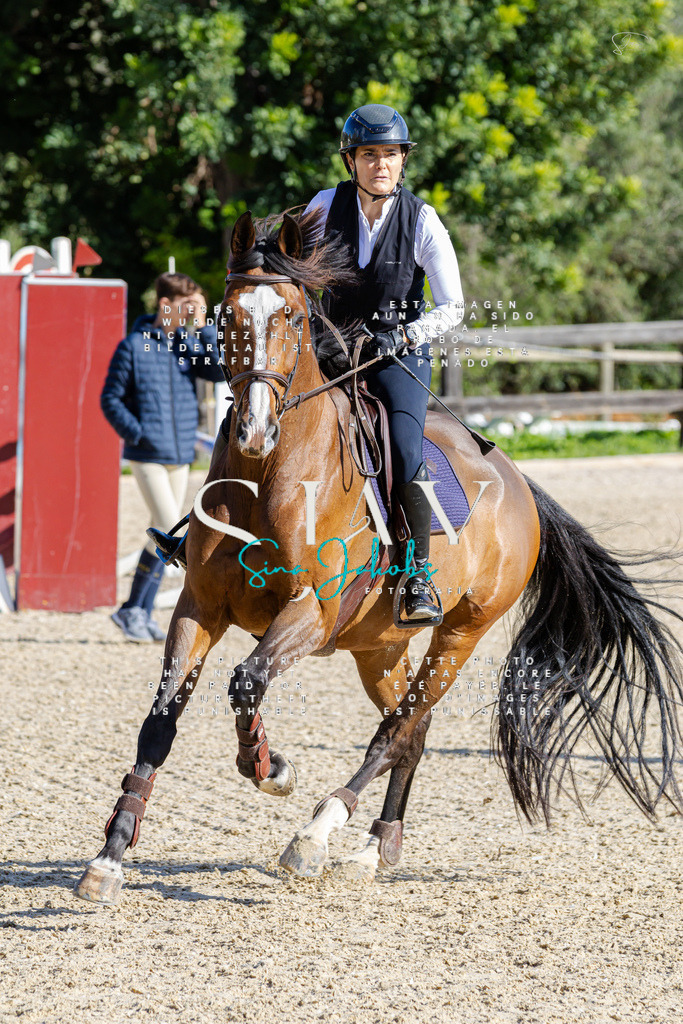 IMG_0805 | s-jay-photography - Realisiert mit Pictrs.com