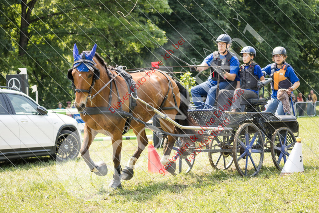 IMG_8632 | Sport-, Event- und Tierfotos in Profiqualität. Einfach auswählen, bestellen und herunterladen. Dein Moment – perfekt festgehalten.
