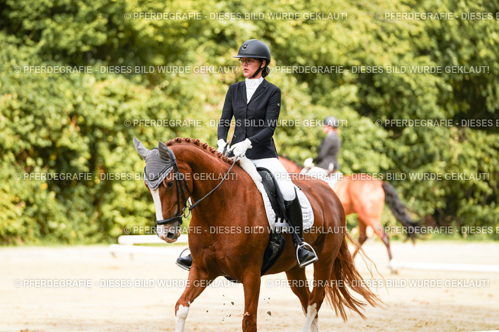 DSC02037 | Pferdegrafie