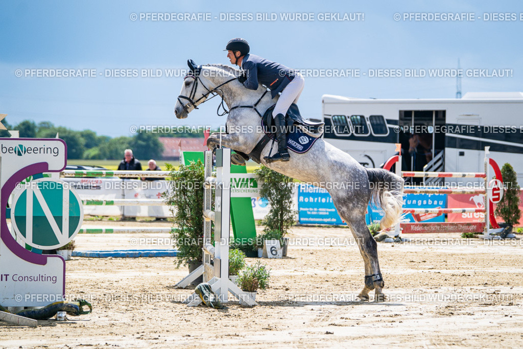 DSC05170 | Pferdegrafie