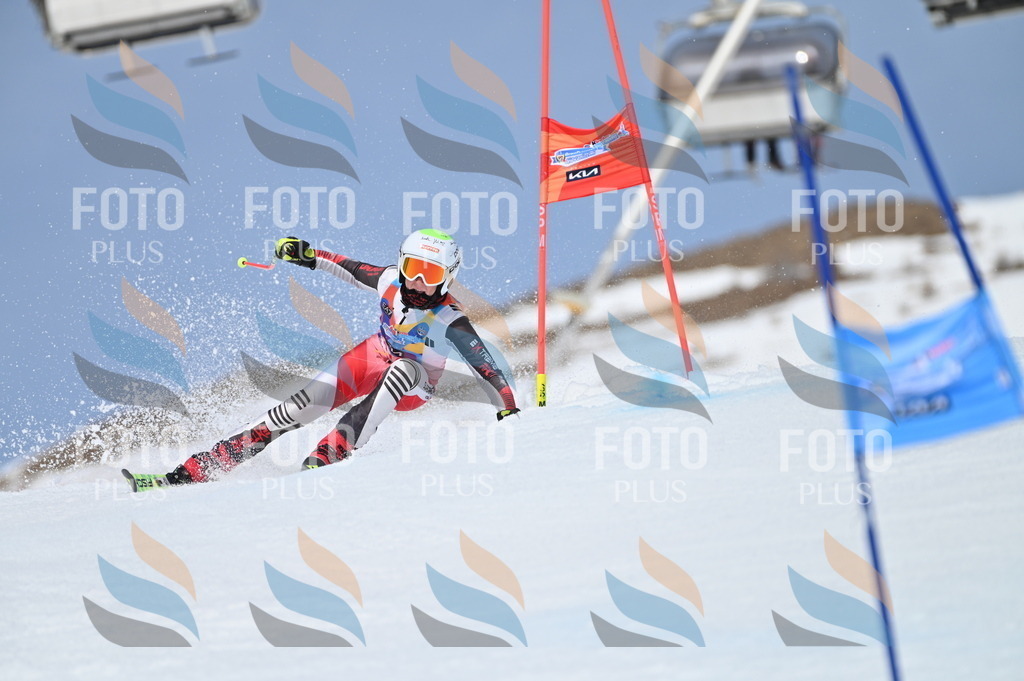 BGV_2933 | holidayphoto