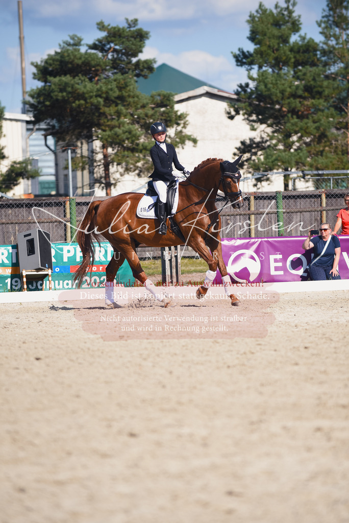 DSC_0130 | Pferde- und Turnierfotografie in Westsachsen. Pferdeportraits, Auftragszeichnungen und intuitive Kunst.
