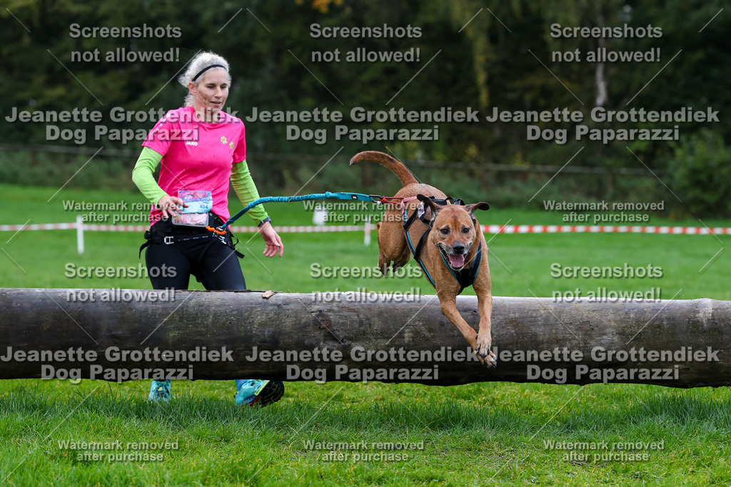 Dog Paparazzi -  SD1026-1330 | Dog Paparazzi Jeanette Grottendiek Fotografie & Videografie - Realisiert mit Pictrs.com